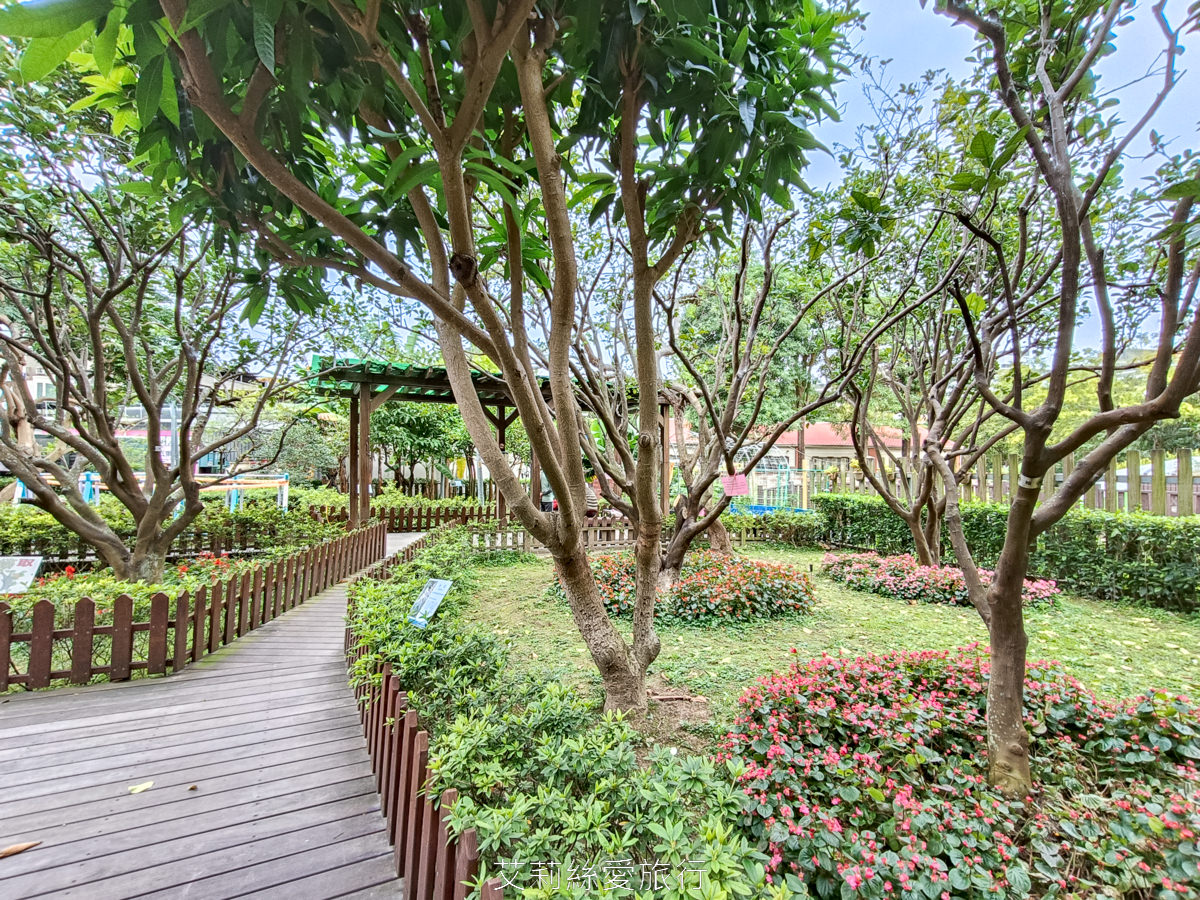 新北蘆洲景點 仁愛公園 夢幻山櫻花盛開了~同時賞櫻花、杜鵑花 還有10餘種果樹如柚子、龍眼、柳丁、百香果 遊戲區放風小孩 - 第6張圖 新北蘆洲景點 仁愛公園 夢幻山櫻花盛開了~同時賞櫻花、杜鵑花 還有10餘種果樹如柚子、龍眼、柳丁、百香果 遊戲區放風小孩