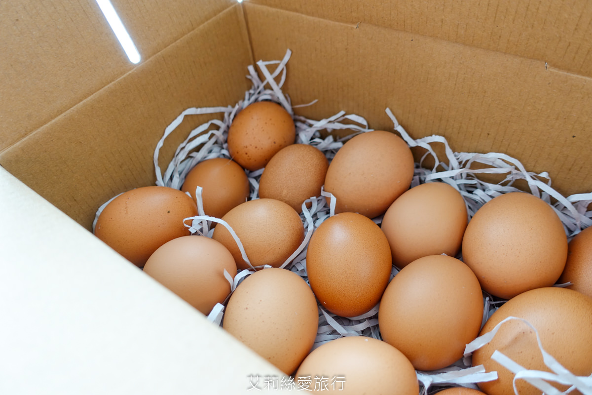 美味食譜》雞蛋沙拉怎麼做 零廚藝看一次就會 Happy mama 初心蛋