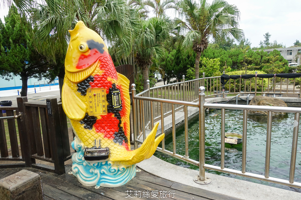 苗栗免費玩水景點 臺鹽通霄觀光園區 安全噴水戲水池 森林溫泉泡腳池 舒服放鬆玩水去！