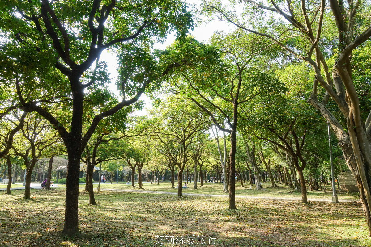 台北大安區景點 大安森林公園 花IN台北 2000盆夢幻繡球花海免費拍 真的不必上陽明山！