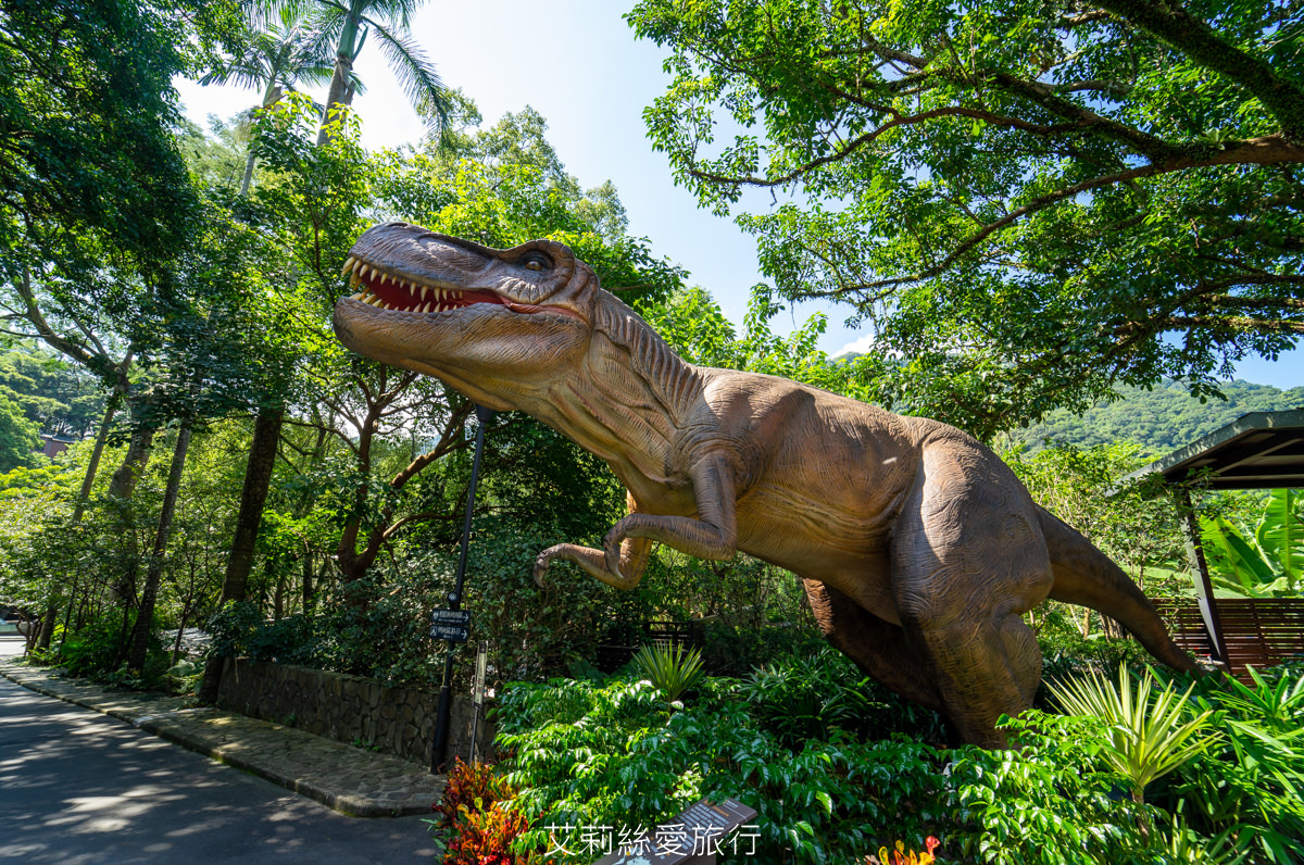 新北住宿》大暴龍三角龍和7米高大金剛！三峽大板根森林溫泉酒店期間限定特展