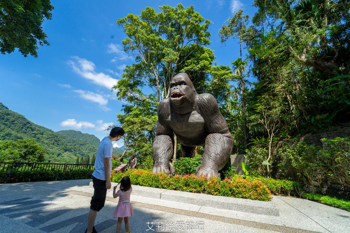 新北住宿》大暴龍三角龍和7米高大金剛！三峽大板根森林溫泉酒店期間限定特展