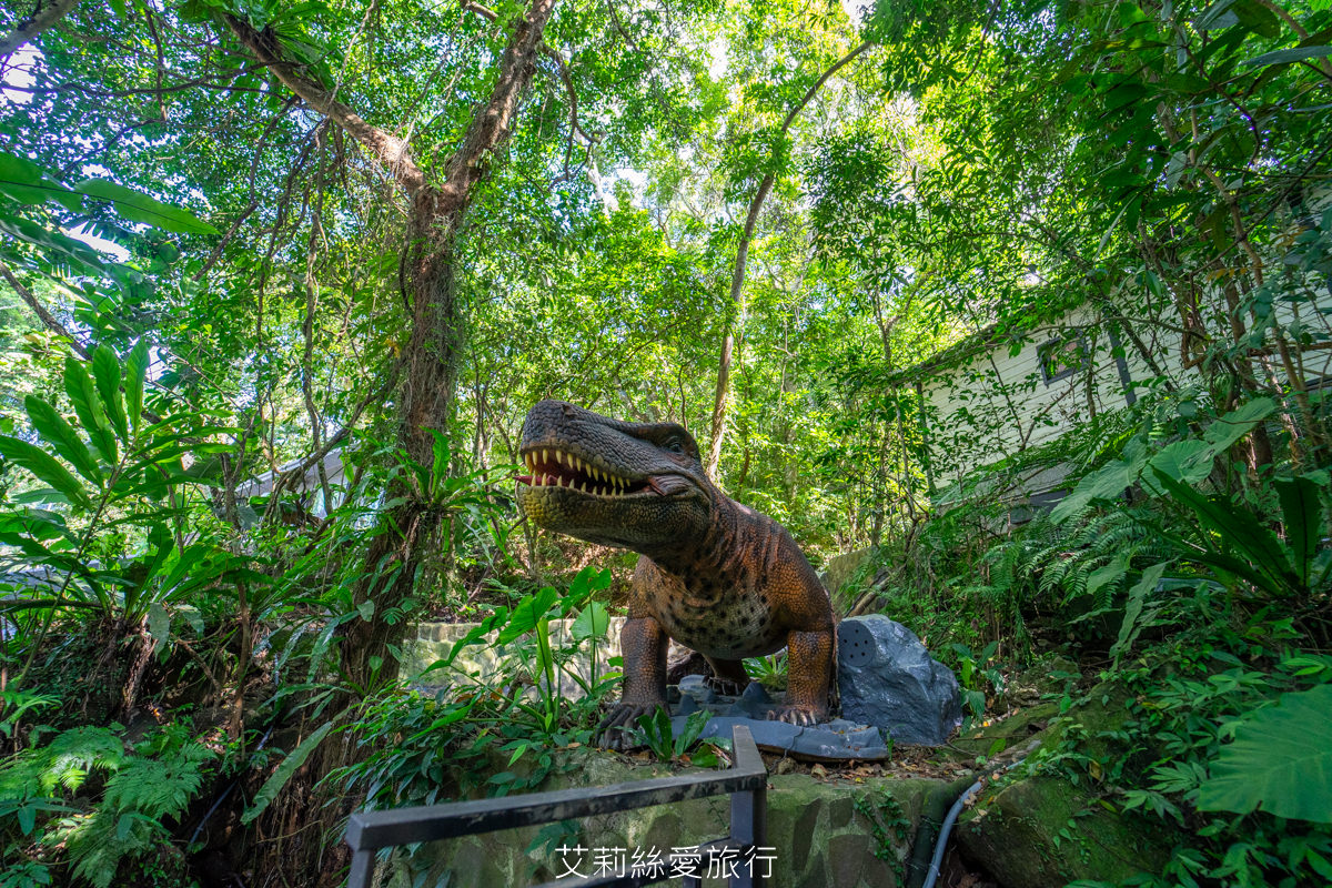 新北住宿》大暴龍三角龍和7米高大金剛！三峽大板根森林溫泉酒店期間限定特展