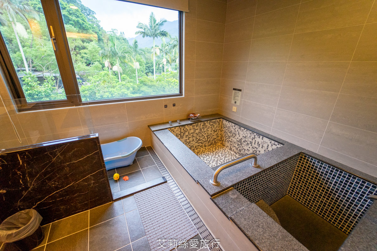 新北住宿》大暴龍三角龍和7米高大金剛！三峽大板根森林溫泉酒店期間限定特展