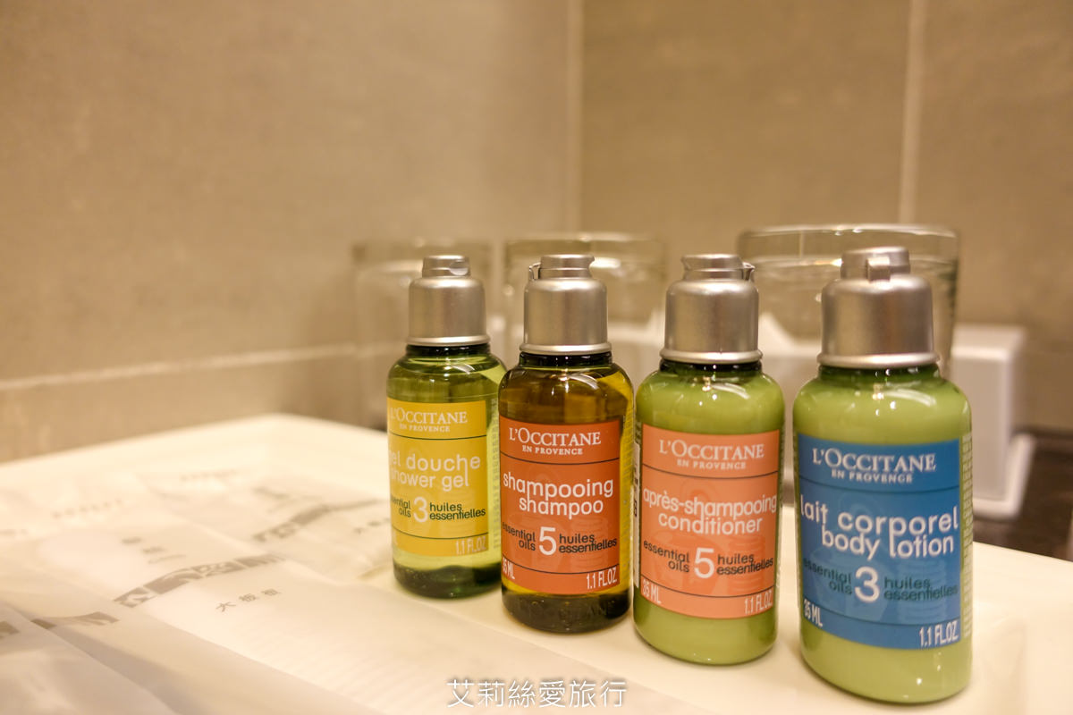 新北住宿》大暴龍三角龍和7米高大金剛！三峽大板根森林溫泉酒店期間限定特展