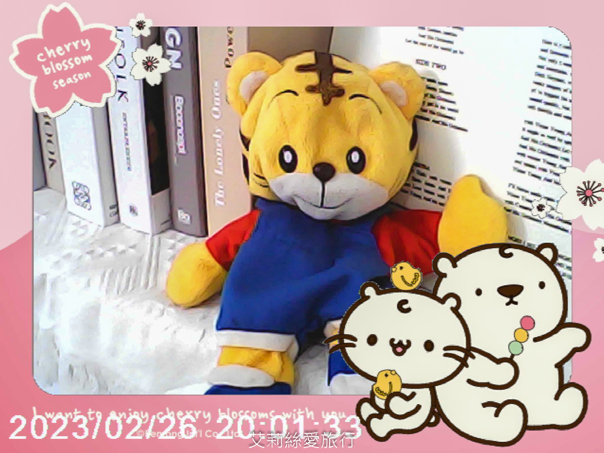 兒童禮物推薦 麻吉貓兒童相機 大螢幕4,000萬高畫質 前後雙鏡頭 可愛圖框 超萌麻吉貓正版授權