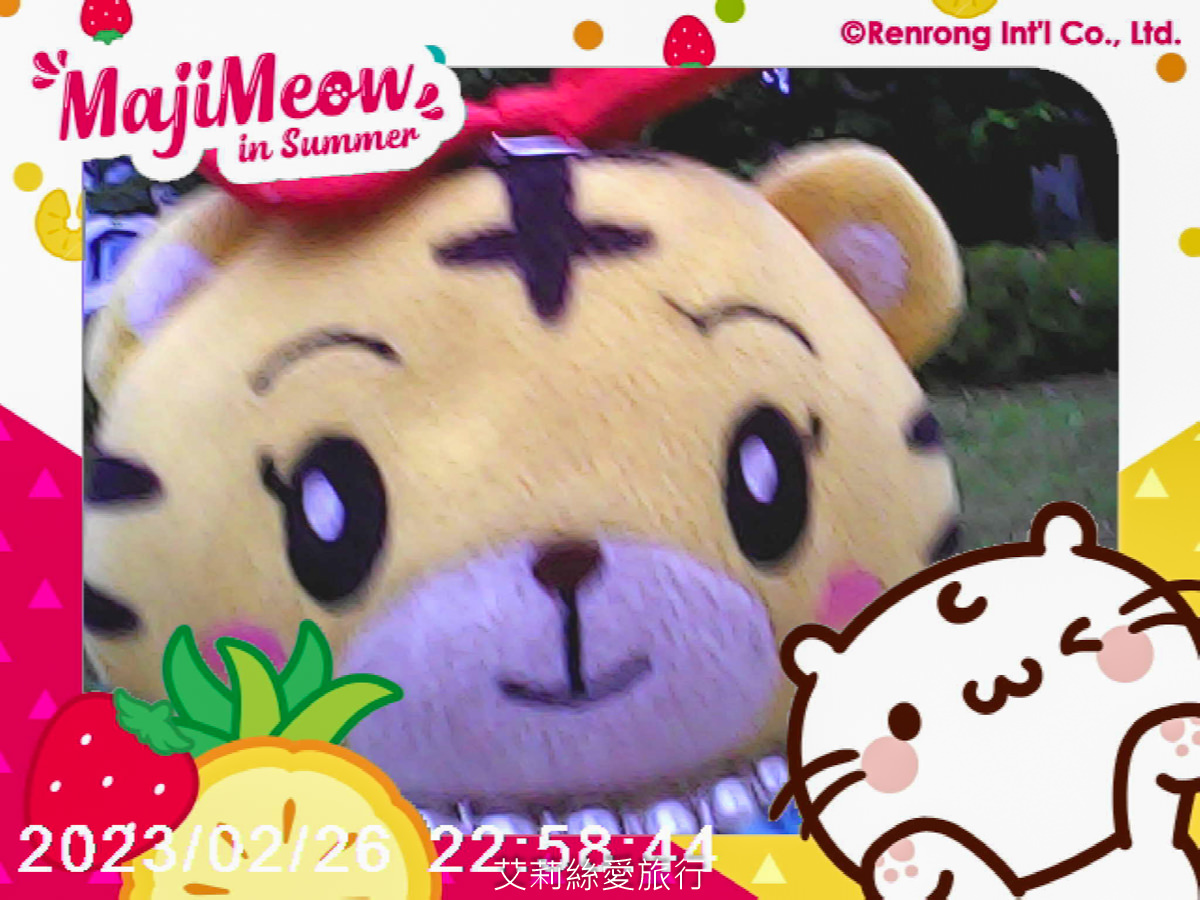 兒童禮物推薦 麻吉貓兒童相機 大螢幕4,000萬高畫質 前後雙鏡頭 可愛圖框 超萌麻吉貓正版授權