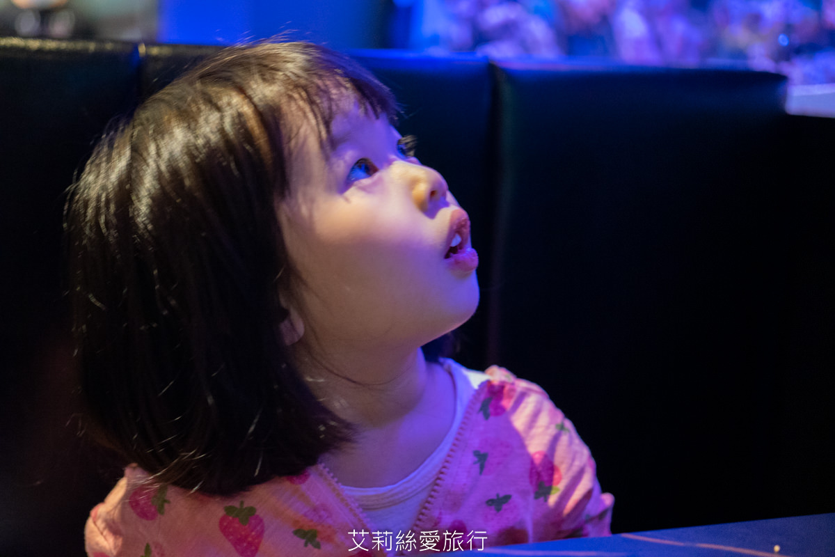 浪漫氛圍水族館式約會餐廳 7彩水母缸 山上走走 日式無菜單燒肉專門店 新竹市護城河親水公園週邊美食