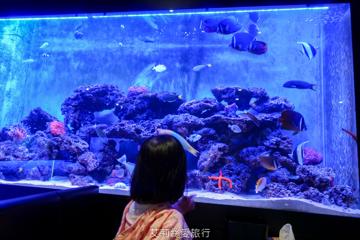 浪漫氛圍水族館式約會餐廳 7彩水母缸 山上走走 日式無菜單燒肉專門店 新竹市護城河親水公園週邊美食