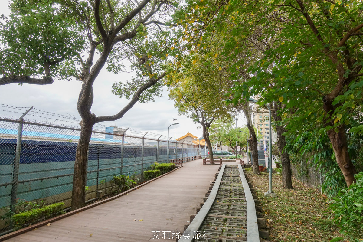 免費景點！北投落羽松秘境 捷運復興崗站步行2分鐘 百棵落羽松夢幻變色中！