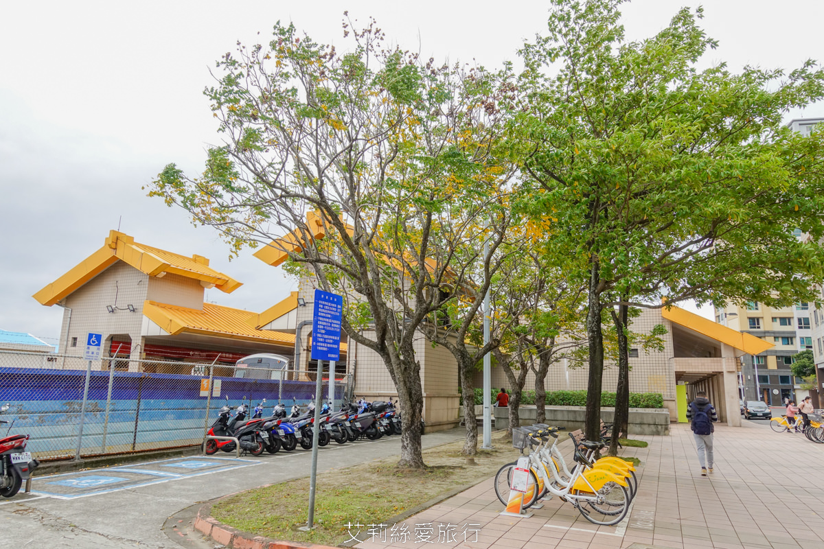 免費景點！北投落羽松秘境 捷運復興崗站步行2分鐘 百棵落羽松夢幻變色中！