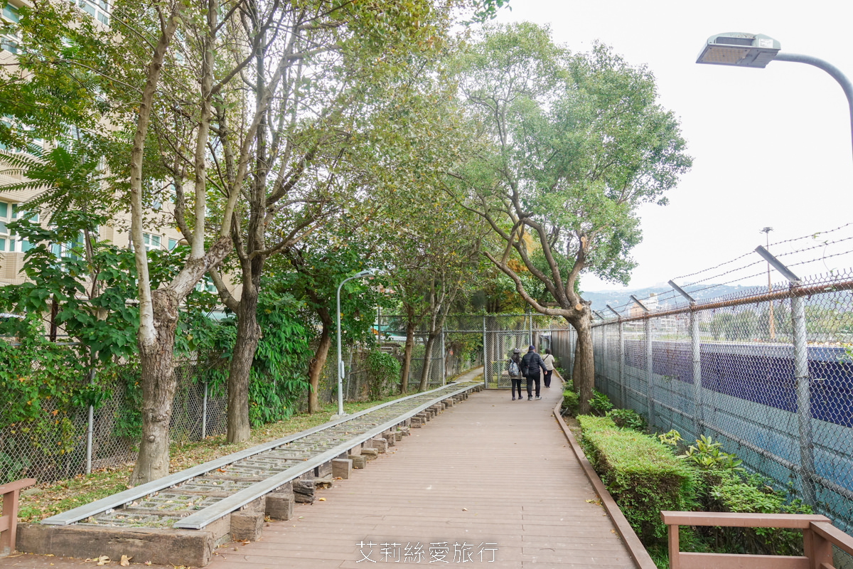 免費景點！北投落羽松秘境 捷運復興崗站步行2分鐘 百棵落羽松夢幻變色中！