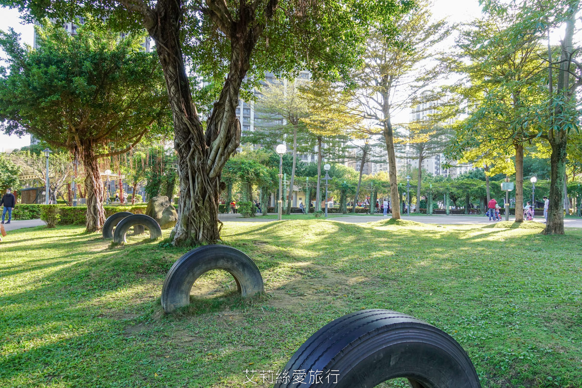 新北落羽松景點 免費入園 新莊頭前運動公園 生態水池冬季夢幻落羽松夏季賞蓮 漫步森林兒童遊戲場 捷運幸福站