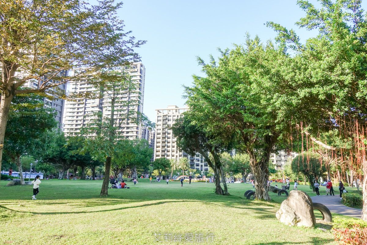 新北落羽松景點 免費入園 新莊頭前運動公園 生態水池冬季夢幻落羽松夏季賞蓮 漫步森林兒童遊戲場 捷運幸福站