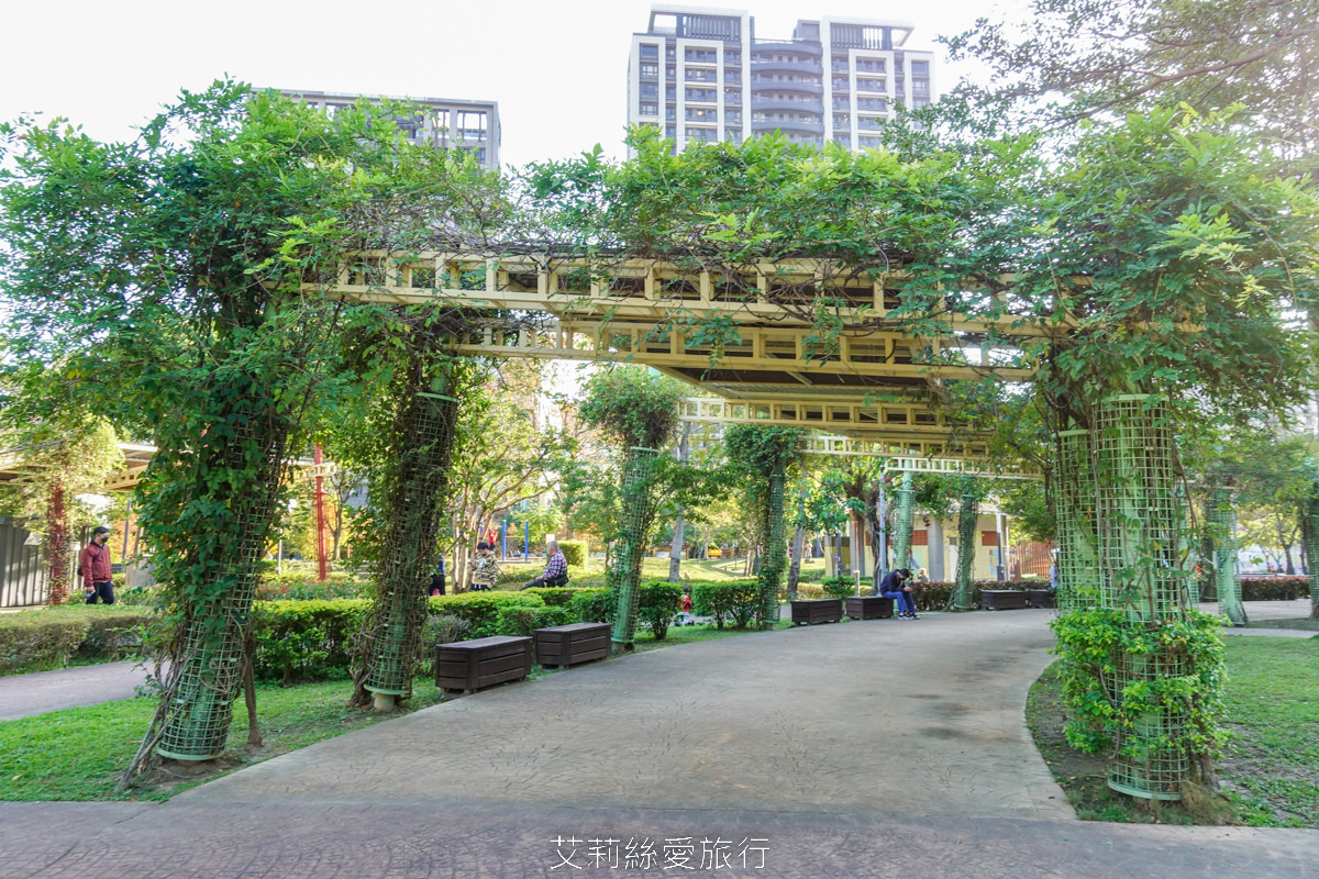 新北落羽松景點 免費入園 新莊頭前運動公園 生態水池冬季夢幻落羽松夏季賞蓮 漫步森林兒童遊戲場 捷運幸福站
