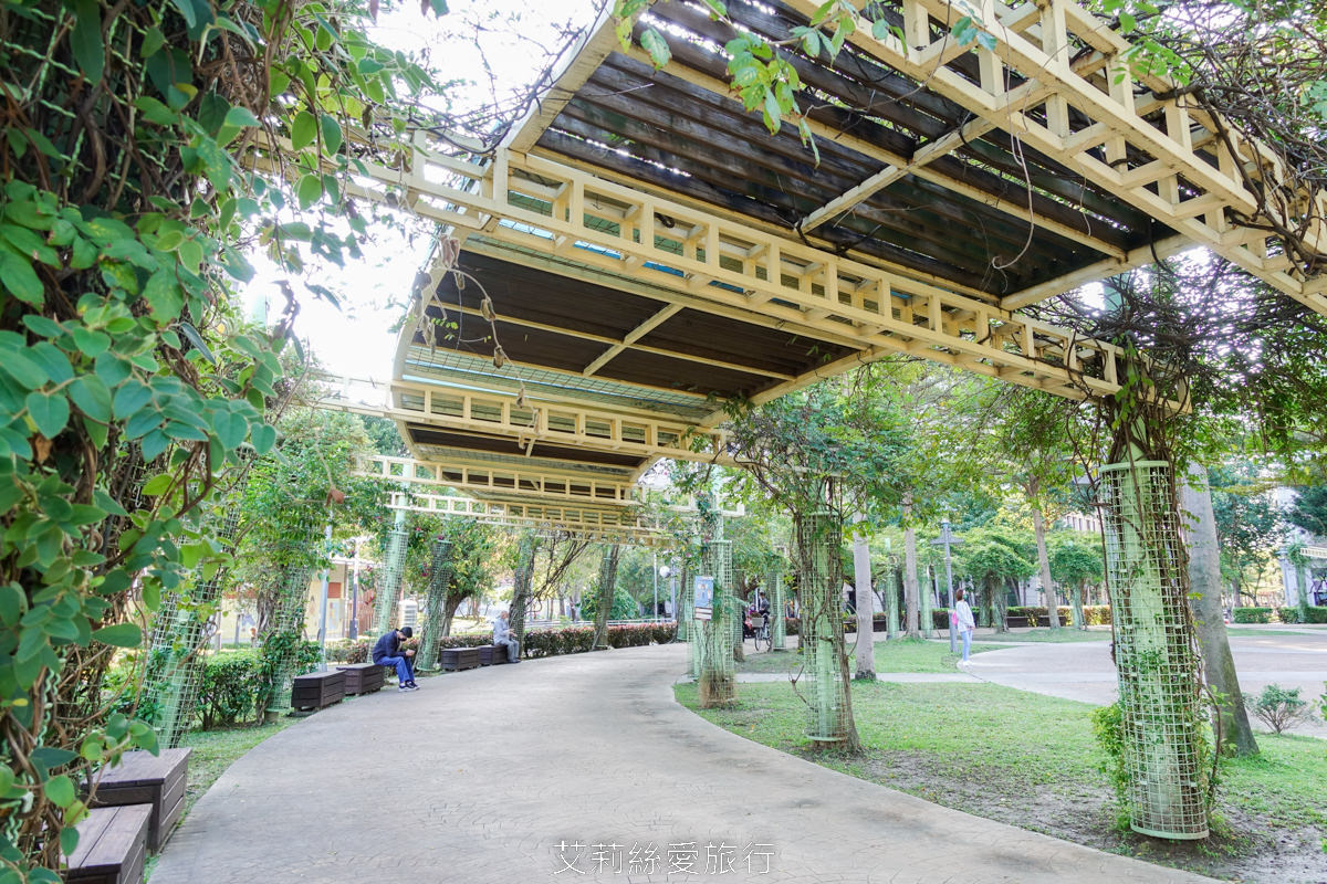 新北落羽松景點 免費入園 新莊頭前運動公園 生態水池冬季夢幻落羽松夏季賞蓮 漫步森林兒童遊戲場 捷運幸福站