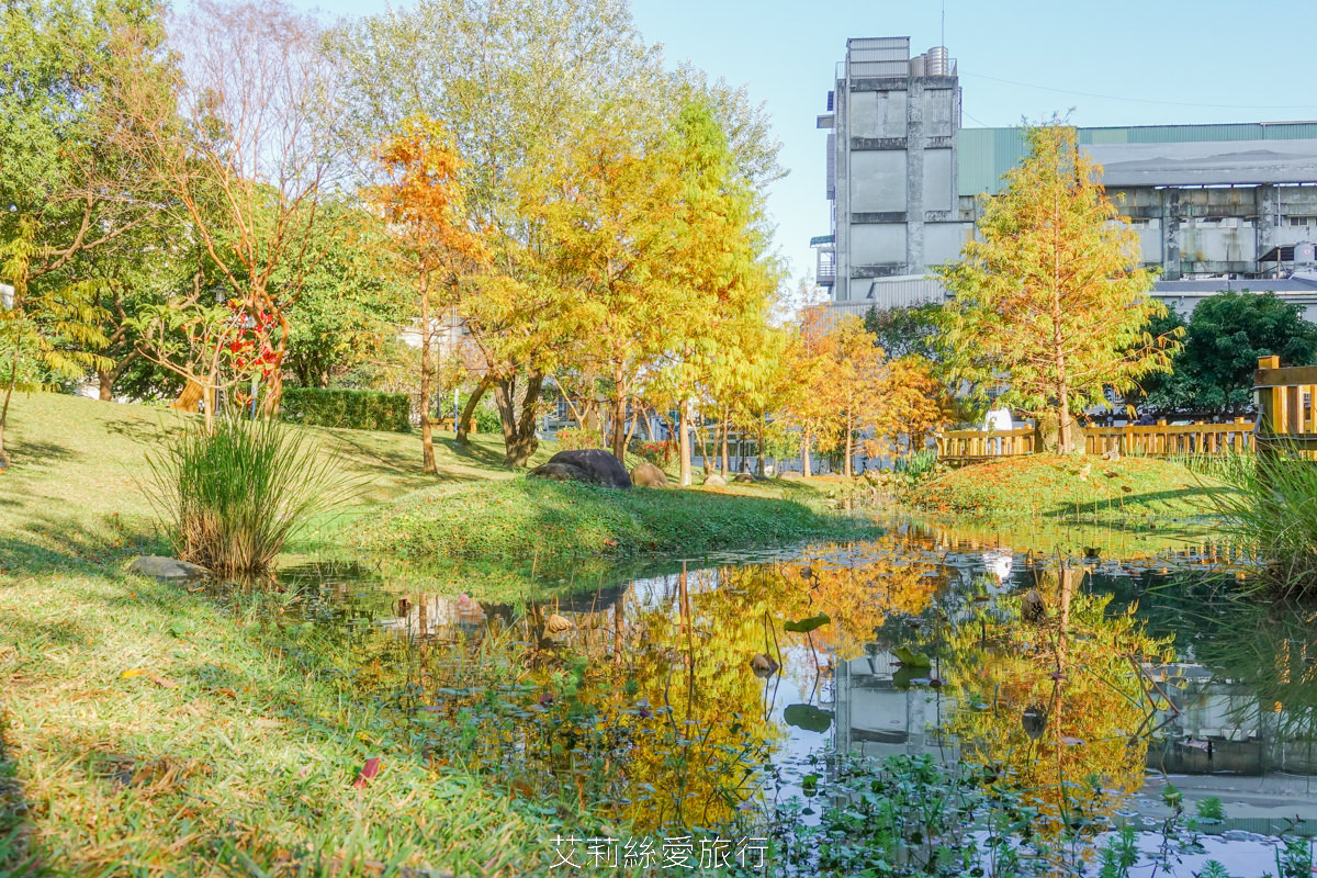 新北落羽松景點 免費入園 新莊頭前運動公園 生態水池冬季夢幻落羽松夏季賞蓮 漫步森林兒童遊戲場 捷運幸福站