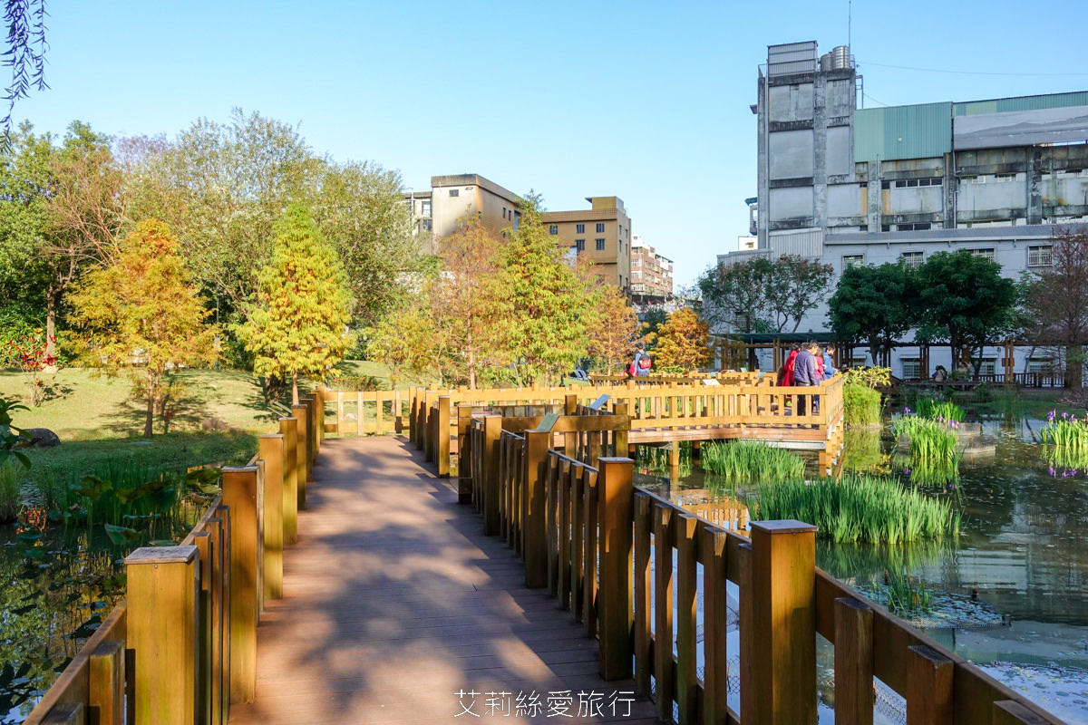 新北落羽松景點 免費入園 新莊頭前運動公園 生態水池冬季夢幻落羽松夏季賞蓮 漫步森林兒童遊戲場 捷運幸福站