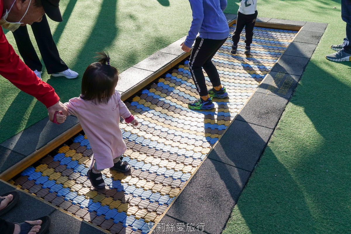 新北落羽松景點 免費入園 新莊頭前運動公園 生態水池冬季夢幻落羽松夏季賞蓮 漫步森林兒童遊戲場 捷運幸福站