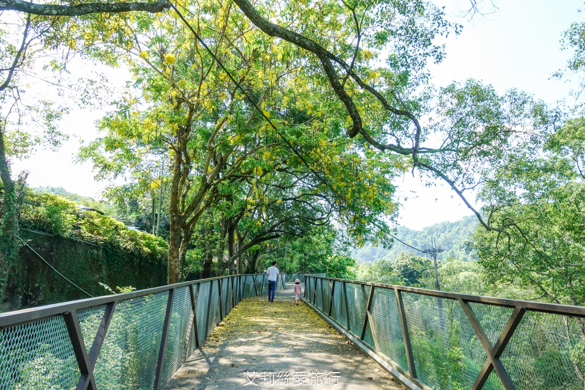 台中親子景點 東勢林場遊樂區 螢火蟲季來了！ 超放電體能訓練場刺激又好玩 幼童遊戲區 沙坑 彈跳床 溫泉泡腳池好放鬆！住宿環境乾淨又舒適 兩天一夜親子暑假旅遊