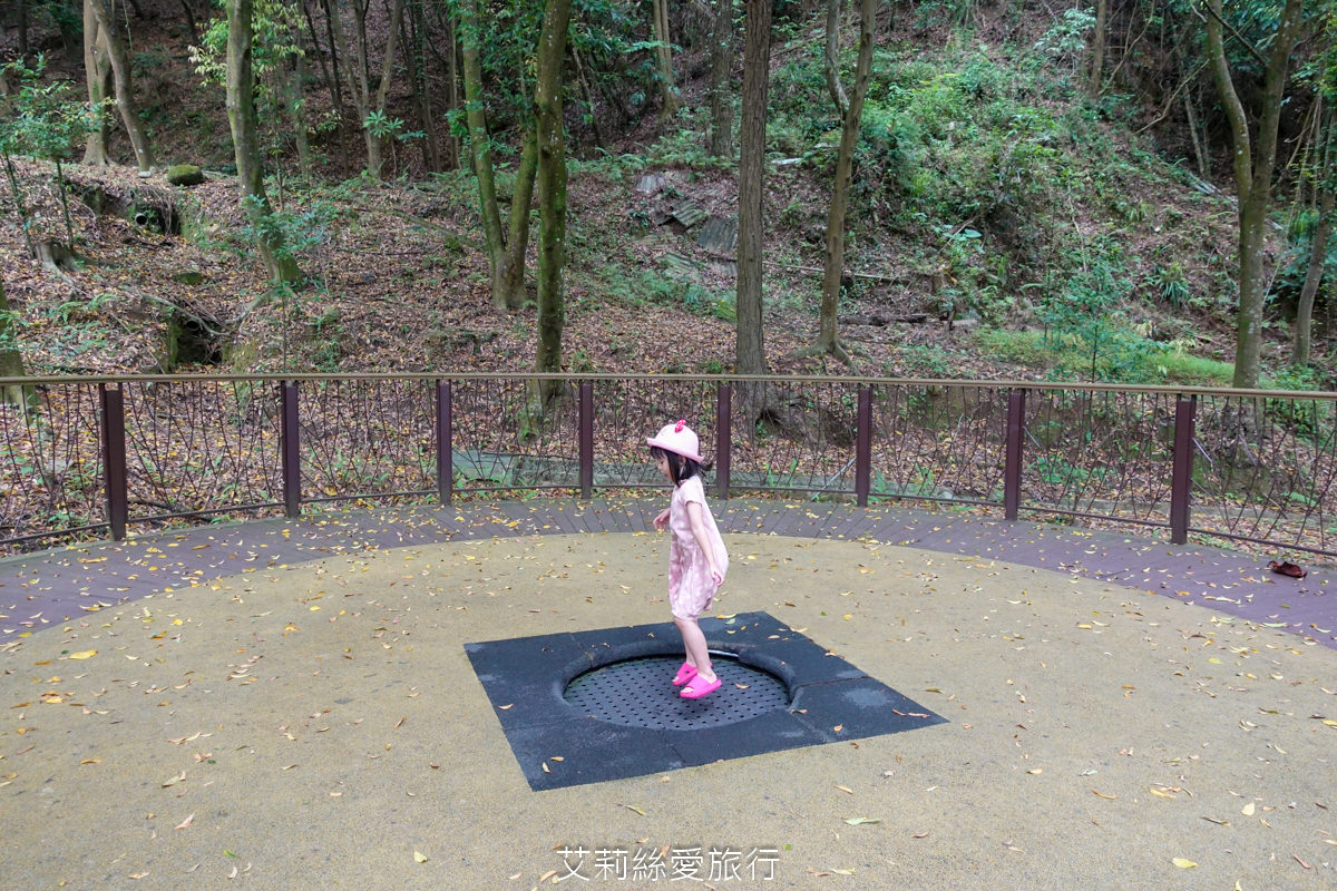 台中親子景點 東勢林場遊樂區 螢火蟲季來了！ 超放電體能訓練場刺激又好玩 幼童遊戲區 沙坑 彈跳床 溫泉泡腳池好放鬆！住宿環境乾淨又舒適 兩天一夜親子暑假旅遊
