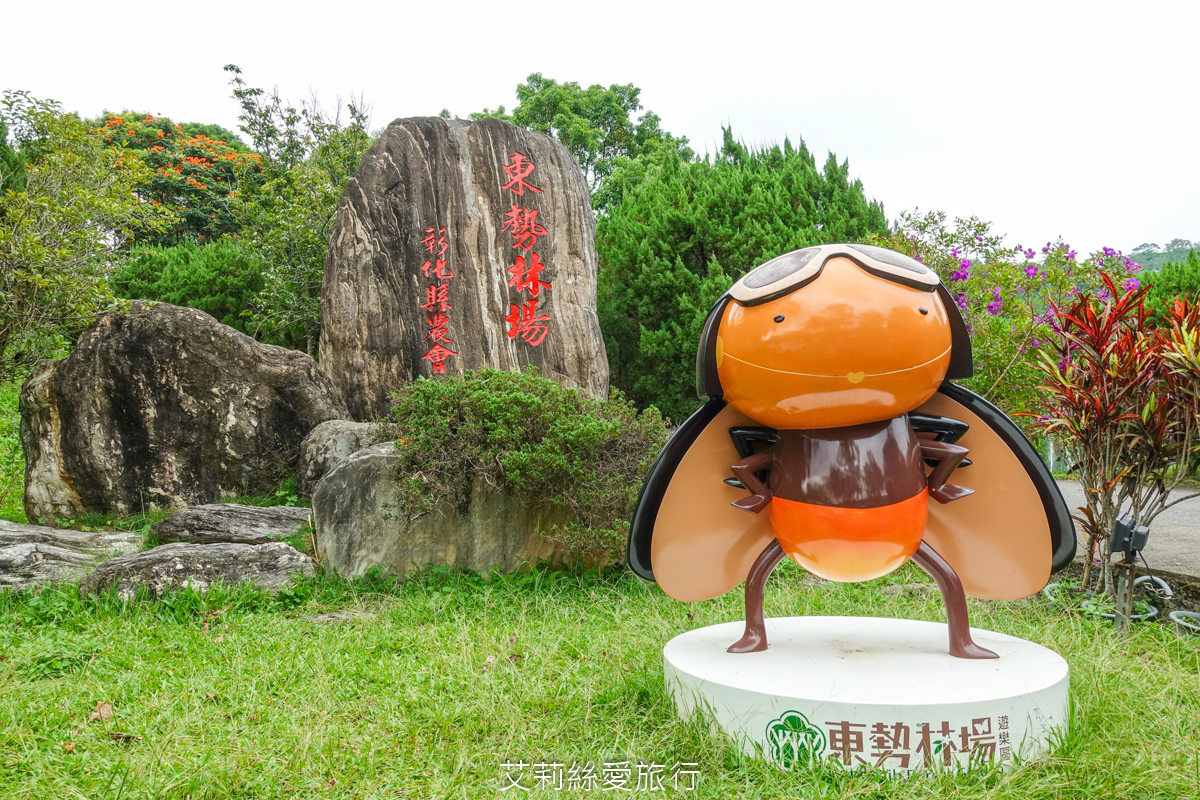 台中親子景點 東勢林場遊樂區 螢火蟲季來了！ 超放電體能訓練場刺激又好玩 幼童遊戲區 沙坑 彈跳床 溫泉泡腳池好放鬆！住宿環境乾淨又舒適 兩天一夜親子暑假旅遊