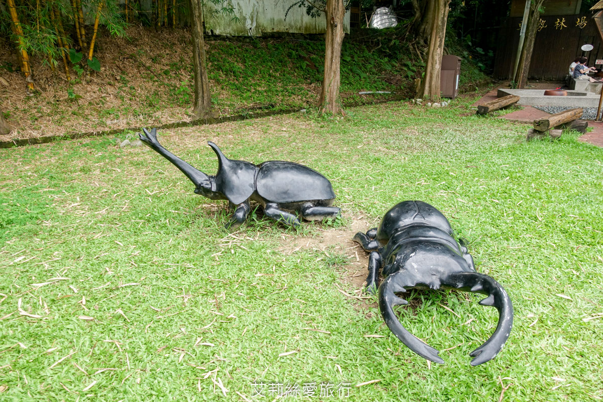 台中親子景點 東勢林場遊樂區 螢火蟲季來了！ 超放電體能訓練場刺激又好玩 幼童遊戲區 沙坑 彈跳床 溫泉泡腳池好放鬆！住宿環境乾淨又舒適 兩天一夜親子暑假旅遊