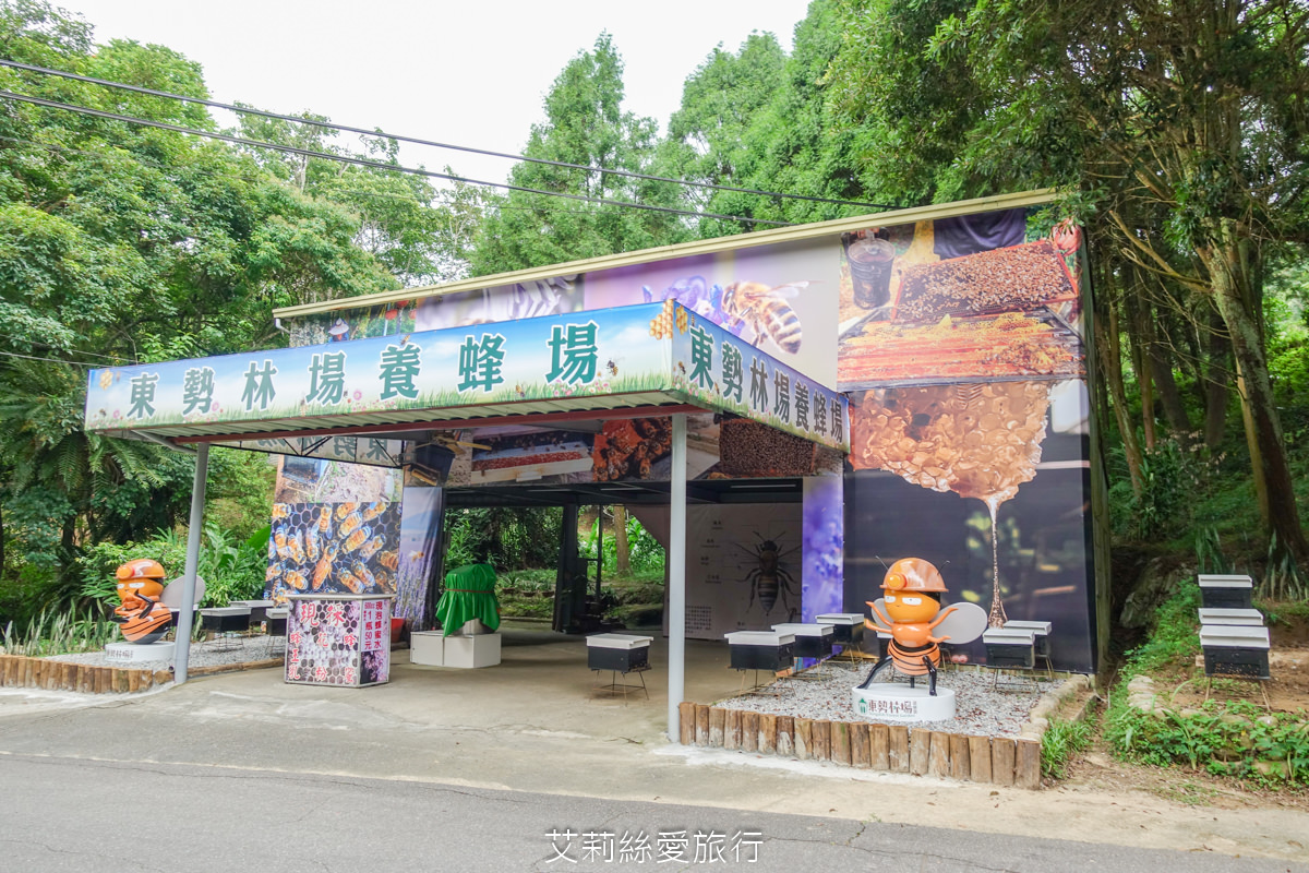台中親子景點 東勢林場遊樂區 螢火蟲季來了！ 超放電體能訓練場刺激又好玩 幼童遊戲區 沙坑 彈跳床 溫泉泡腳池好放鬆！住宿環境乾淨又舒適 兩天一夜親子暑假旅遊