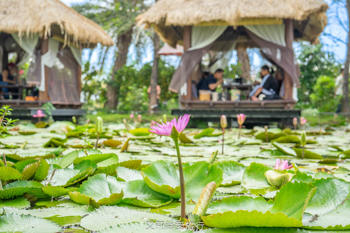 屏東美食 峇里島風景觀餐廳 水明漾 吃冰淇淋、餵魚拍美照 還有新鮮泰國蝦料理 冬季落羽松步道好浪漫 - 第2張圖 屏東美食 峇里島風景觀餐廳 水明漾 吃冰淇淋、餵魚拍美照 還有新鮮泰國蝦料理 冬季落羽松步道好浪漫