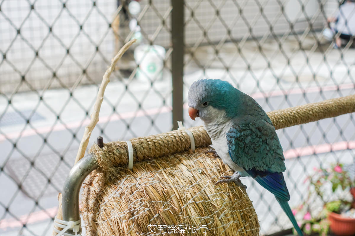 三重美食推薦 泰小吃店 真正泰國人開的泰式餐廳 泰國知名美食彩色米線條 媽媽麵 涼拌青木瓜絲都超道地! 奶茶控必喝泰式奶茶! - 第21張圖 三重美食推薦 泰小吃店 真正泰國人開的泰式餐廳 泰國知名美食彩色米線條 媽媽麵 涼拌青木瓜絲都超道地! 奶茶控必喝泰式奶茶!