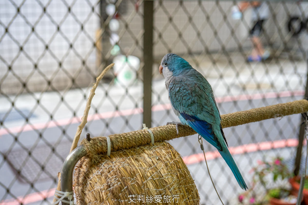 三重美食推薦 泰小吃店 真正泰國人開的泰式餐廳 泰國知名美食彩色米線條 媽媽麵 涼拌青木瓜絲都超道地! 奶茶控必喝泰式奶茶! - 第20張圖 三重美食推薦 泰小吃店 真正泰國人開的泰式餐廳 泰國知名美食彩色米線條 媽媽麵 涼拌青木瓜絲都超道地! 奶茶控必喝泰式奶茶!