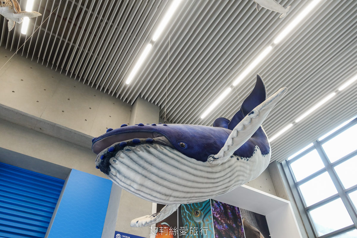 北海岸東北角必遊新景點 潮境一日遊 智能海洋館咖啡館 國立海洋科技博物館 潮境公園飛天掃帚