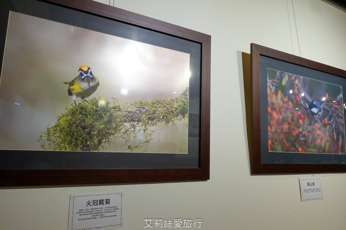 100%原肉牛排只要市價一半就能吃 配阿里山冷泡茶太過癮 內用自助吧無限吃到飽 濠誠牛排 22年老店 - 第9張圖 100%原肉牛排只要市價一半就能吃 配阿里山冷泡茶太過癮 內用自助吧無限吃到飽 濠誠牛排 22年老店
