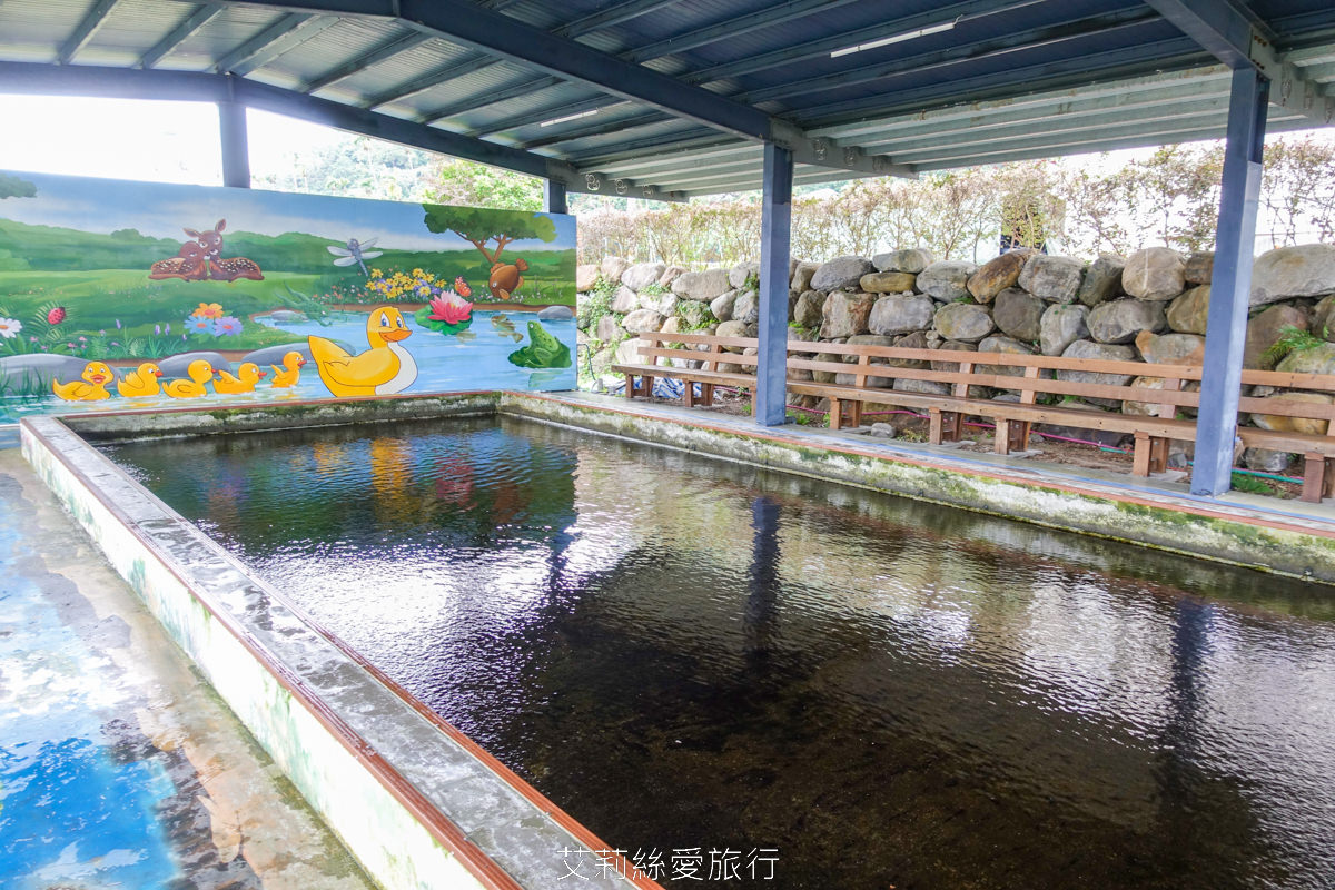 宜蘭礁溪室內景點 全台最美清水模五星級鴨舍 甲鳥園 親近小鴨、餵鴨餵魚、還有戲水池，可以玩diy吃甜點滷味！
