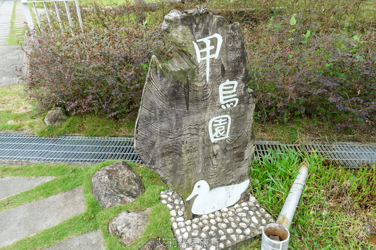 宜蘭礁溪室內景點 全台最美清水模五星級鴨舍 甲鳥園 親近小鴨、餵鴨餵魚、還有戲水池，可以玩diy吃甜點滷味！