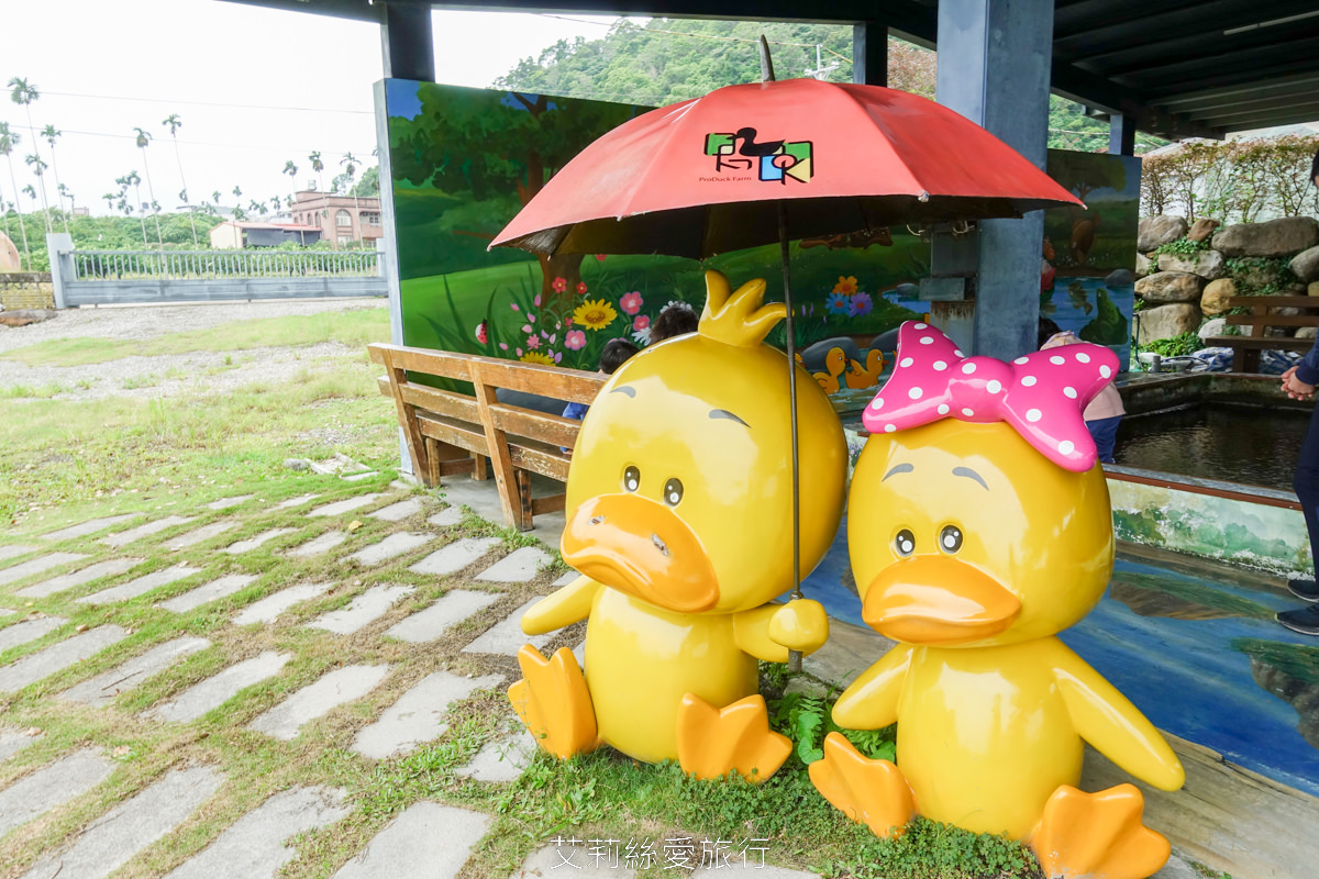 宜蘭礁溪室內景點 全台最美清水模五星級鴨舍 甲鳥園 親近小鴨、餵鴨餵魚、還有戲水池，可以玩diy吃甜點滷味！