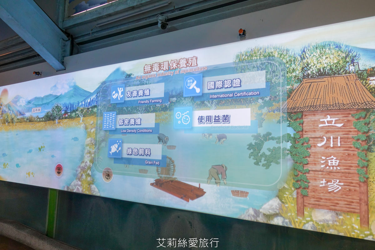 免費玩水景點 花蓮壽豐 立川漁場休閒農場 5歲以下免費玩水摸蜆 品嚐黃金蜆海產買伴手禮