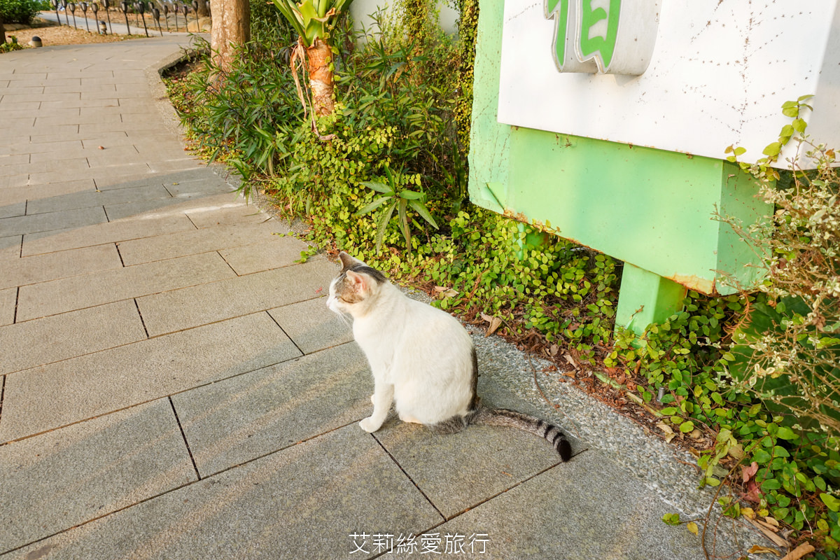 苗栗住宿 自然風情景觀餐廳渡假民宿 親子旅遊大草坪沙坑溜滑梯 無敵景觀渡假區 - 第92張圖 苗栗住宿 自然風情景觀餐廳渡假民宿 親子旅遊大草坪沙坑溜滑梯 無敵景觀渡假區