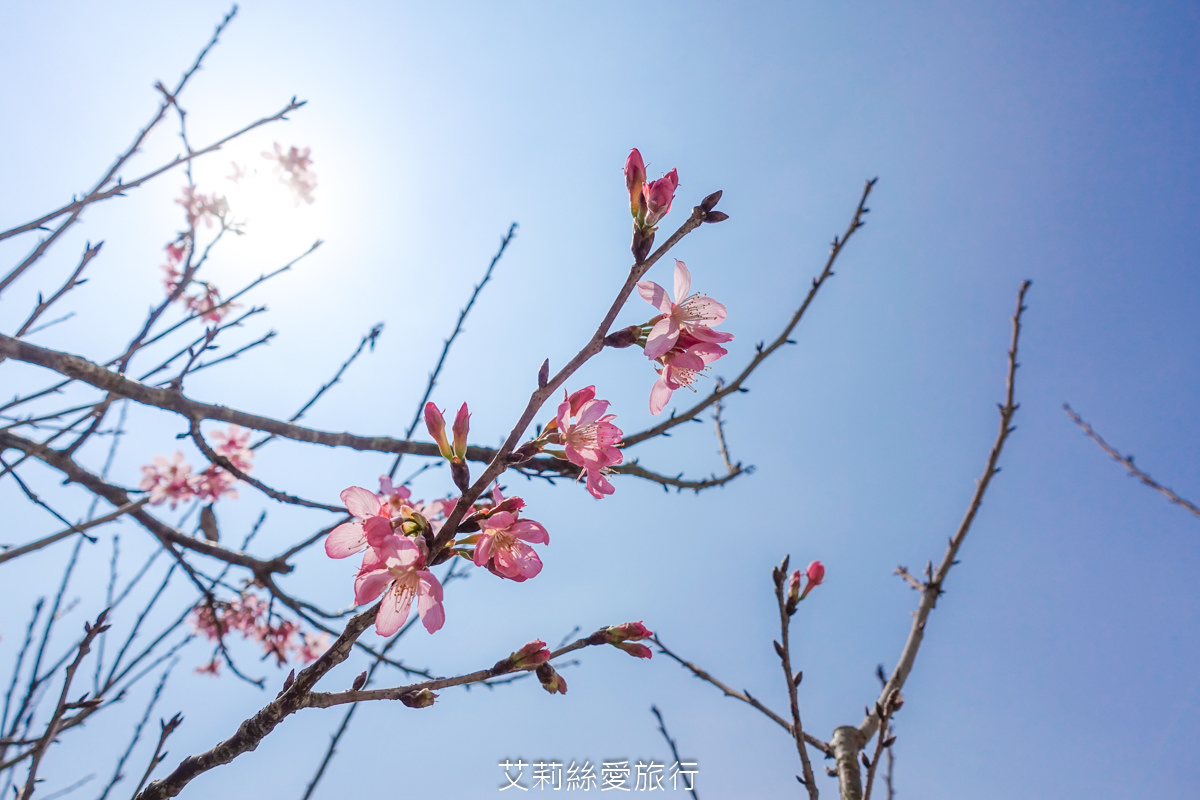 苗栗住宿 自然風情景觀餐廳渡假民宿 親子旅遊大草坪沙坑溜滑梯 無敵景觀渡假區 - 第10張圖 苗栗住宿 自然風情景觀餐廳渡假民宿 親子旅遊大草坪沙坑溜滑梯 無敵景觀渡假區