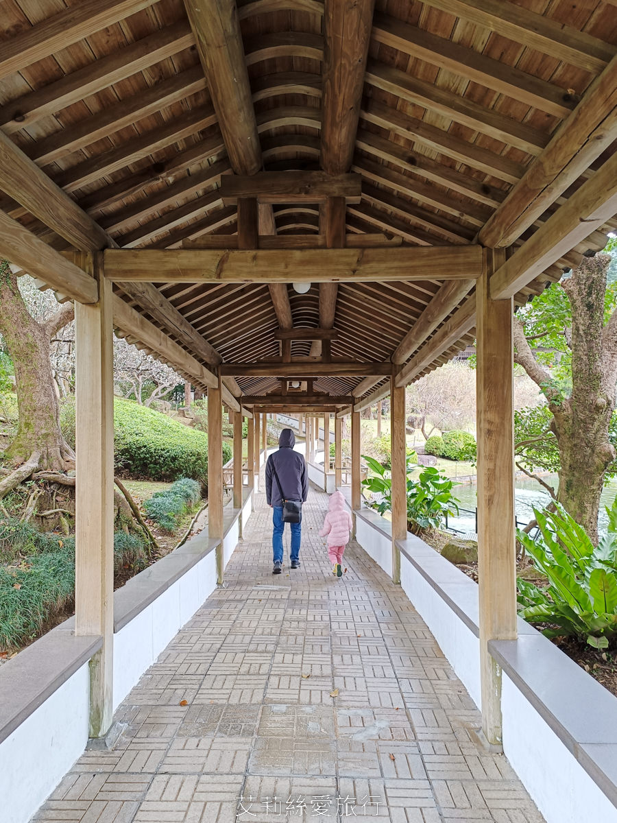 台北士林景點 免費入園 新年走春賞梅賞櫻 至善園 台北故宮旁 捷運士林站 不必上山坐車就能到！