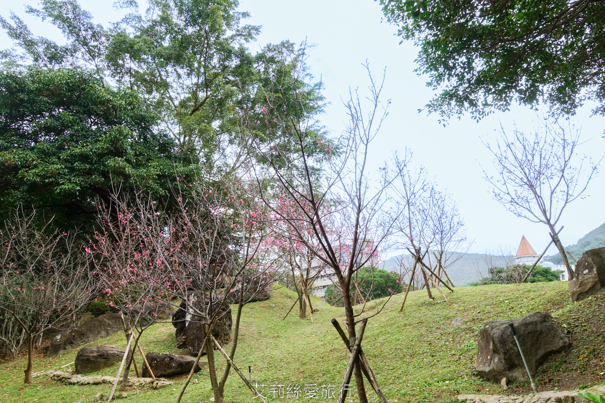 台北士林景點 免費入園 新年走春賞梅賞櫻 至善園 台北故宮旁 捷運士林站 不必上山坐車就能到！