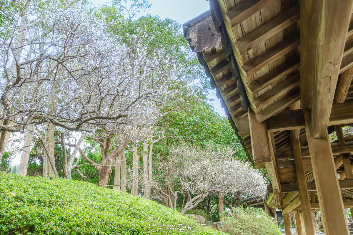 台北士林景點 免費入園 新年走春賞梅賞櫻 至善園 台北故宮旁 捷運士林站 不必上山坐車就能到！