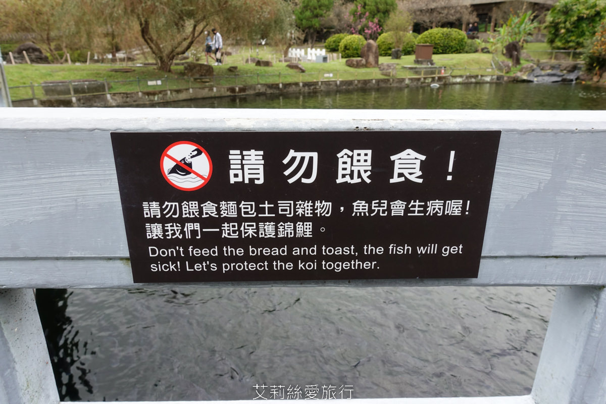 台北士林景點 免費入園 新年走春賞梅賞櫻 至善園 台北故宮旁 捷運士林站 不必上山坐車就能到！