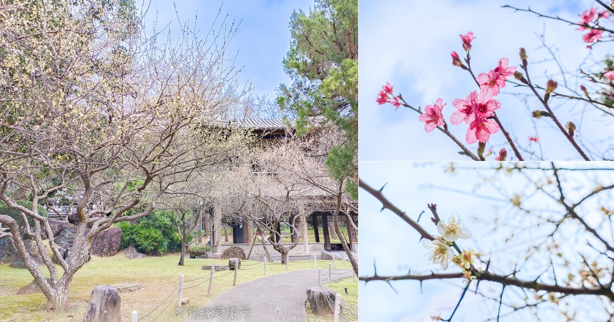 台北士林景點 免費入園 新年走春賞梅賞櫻 至善園 台北故宮旁 捷運士林站 不必上山坐車就能到！