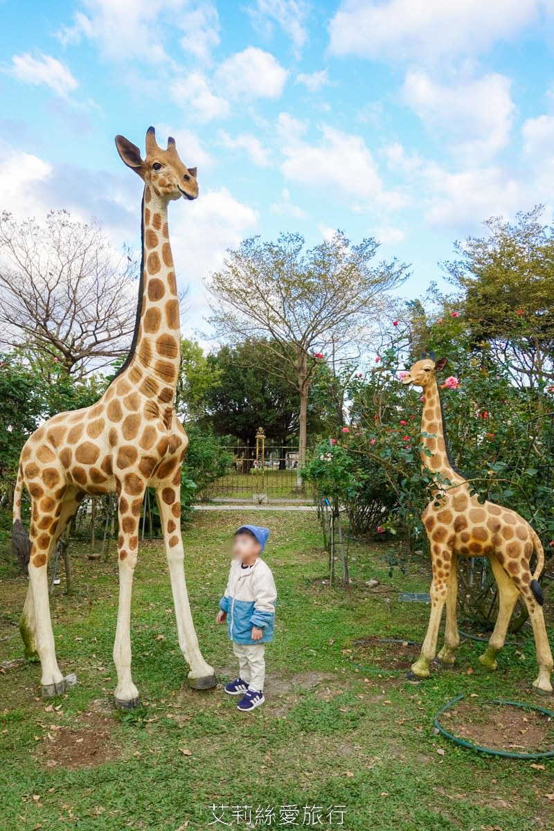 台北中山區景點 北部最大玫瑰花園 臺北玫瑰園2025年臺北玫瑰展 800種玫瑰花美麗綻放中 免費參觀! - 第20張圖 台北中山區景點 北部最大玫瑰花園 臺北玫瑰園2025年臺北玫瑰展 800種玫瑰花美麗綻放中 免費參觀!