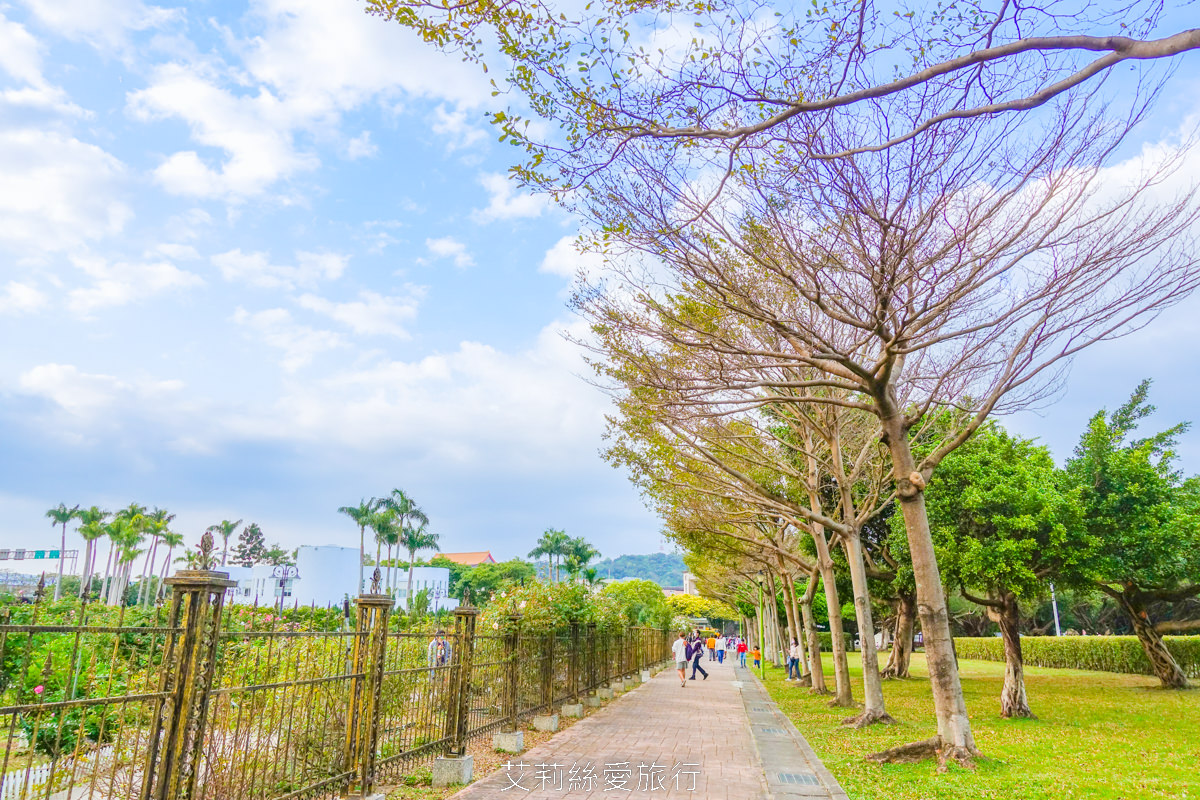 台北中山區景點 北部最大玫瑰花園 臺北玫瑰園2025年臺北玫瑰展 800種玫瑰花美麗綻放中 免費參觀! - 第22張圖 台北中山區景點 北部最大玫瑰花園 臺北玫瑰園2025年臺北玫瑰展 800種玫瑰花美麗綻放中 免費參觀!