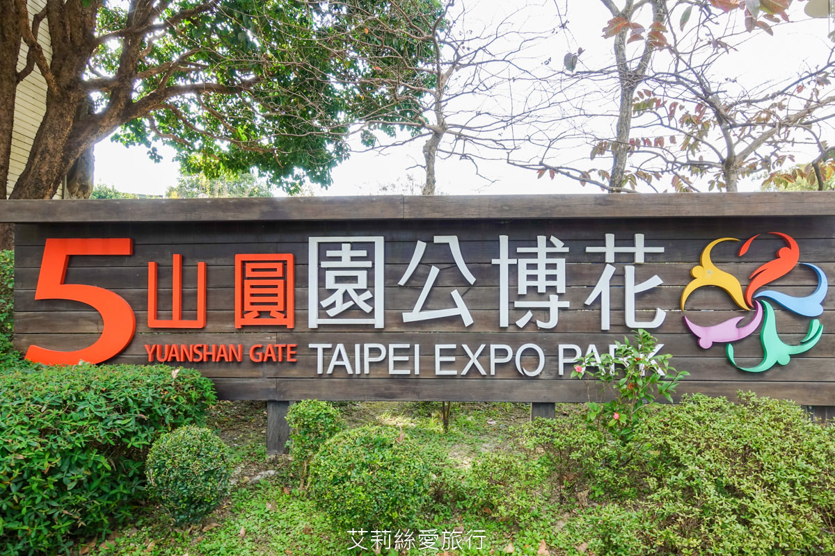 台北免費賞花景點 花博公園圓山圓區 金黃炮仗花和夢幻桃粉色櫻花 好美好好拍！