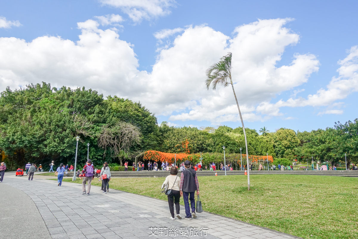 台北免費賞花景點 花博公園圓山圓區 金黃炮仗花和夢幻桃粉色櫻花 好美好好拍！