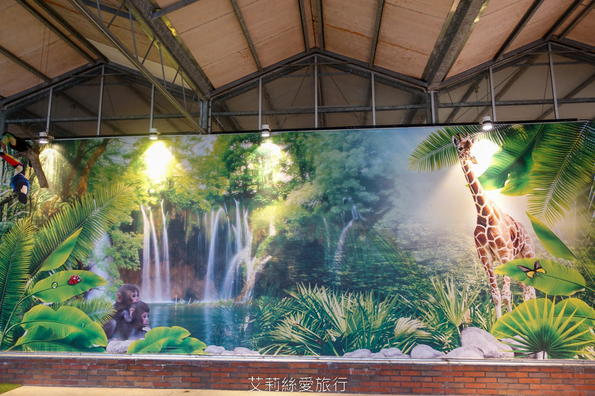 宜蘭礁溪親子景點 室內雨天備案 水豚、貓咪、狐獴、巨嘴鳥根本小型動物園 還能賞花用餐 金車礁溪蘭花園附設動植物生態館 - 第7張圖 宜蘭礁溪親子景點 室內雨天備案 水豚、貓咪、狐獴、巨嘴鳥根本小型動物園 還能賞花用餐 金車礁溪蘭花園附設動植物生態館