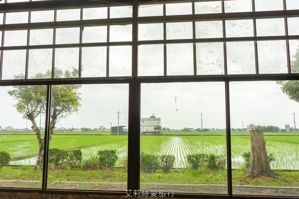 宜蘭礁溪親子景點 室內雨天備案 水豚、貓咪、狐獴、巨嘴鳥根本小型動物園 還能賞花用餐 金車礁溪蘭花園附設動植物生態館 - 第20張圖 宜蘭礁溪親子景點 室內雨天備案 水豚、貓咪、狐獴、巨嘴鳥根本小型動物園 還能賞花用餐 金車礁溪蘭花園附設動植物生態館